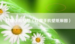 红魔手机壁纸（红魔手机壁纸原图）