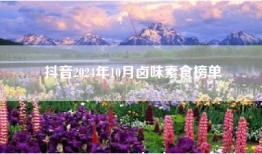 抖音2024年10月卤味素食榜单