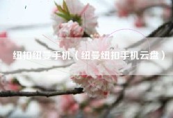 纽扣纽曼手机（纽曼纽扣手机云盘）