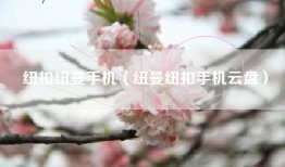 纽扣纽曼手机（纽曼纽扣手机云盘）