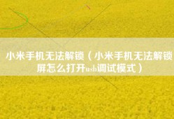 小米手机无法解锁（小米手机无法解锁屏怎么打开usb调试模式）