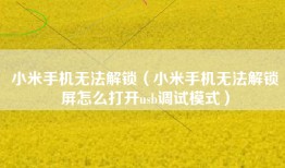 小米手机无法解锁（小米手机无法解锁屏怎么打开usb调试模式）