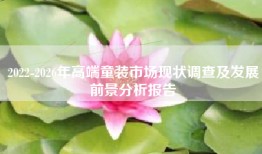 2022-2026年高端童装市场现状调查及发展前景分析报告