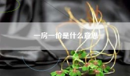 一房一价是什么意思