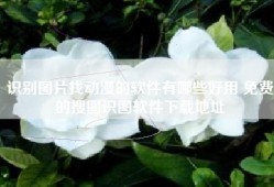 识别图片找动漫的软件有哪些好用 免费的搜图识图软件下载地址