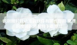 识别图片找动漫的软件有哪些好用 免费的搜图识图软件下载地址