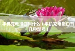 手机充电接口叫什么（手机充电接口有几种型号）