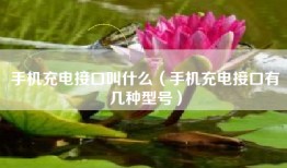 手机充电接口叫什么（手机充电接口有几种型号）