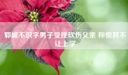 郓城不识字男子受挫砍伤父亲 称恨其不让上学