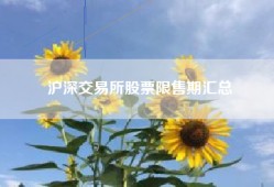 沪深交易所股票限售期汇总
