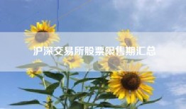 沪深交易所股票限售期汇总