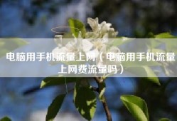 电脑用手机流量上网（电脑用手机流量上网费流量吗）