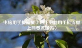 电脑用手机流量上网（电脑用手机流量上网费流量吗）
