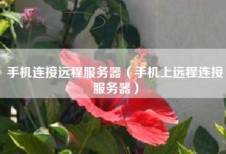 手机连接远程服务器（手机上远程连接服务器）