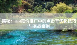 揭秘：SEM竞价推广中的点击率优化技巧与实战案例