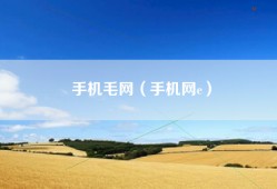 手机毛网（手机网e）