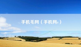 手机毛网（手机网e）