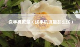 送手机流量（送手机流量怎么送）