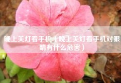 晚上关灯看手机（晚上关灯看手机对眼睛有什么危害）