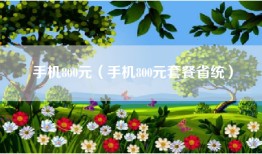 手机800元（手机800元套餐省统）