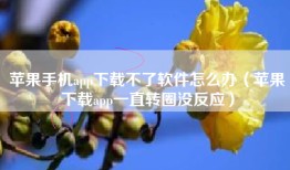 苹果手机app下载不了软件怎么办（苹果下载app一直转圈没反应）