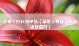 苹果手机在哪里修（苹果手机坏了去哪里修最好）