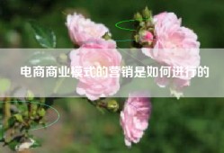 电商商业模式的营销是如何进行的