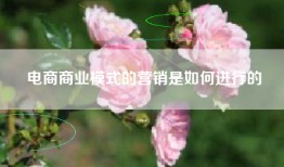 电商商业模式的营销是如何进行的