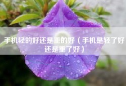 手机轻的好还是重的好（手机是轻了好还是重了好）