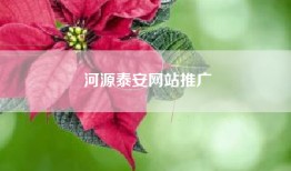 河源泰安网站推广