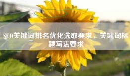 SEO关键词排名优化选取要求，关键词标题写法要求