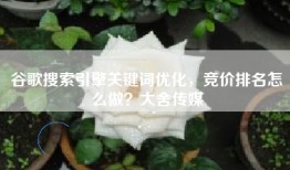 谷歌搜索引擎关键词优化，竞价排名怎么做？大舍传媒