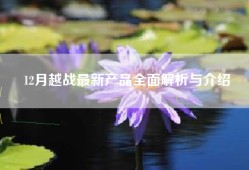12月越战最新产品全面解析与介绍
