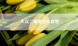 大众二厢是什么意思