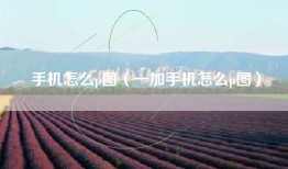 手机怎么p图（一加手机怎么p图）