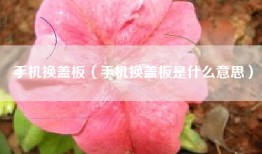 手机换盖板（手机换盖板是什么意思）