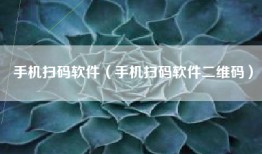 手机扫码软件（手机扫码软件二维码）