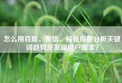 怎么用百度、微信、抖音指数分析关键词趋势及发现用户需求？