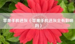 苹果手机进灰（苹果手机进灰尘有影响吗）