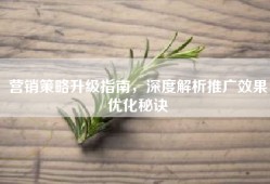 营销策略升级指南，深度解析推广效果优化秘诀