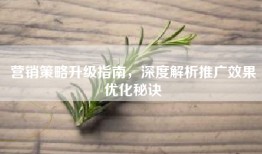 营销策略升级指南，深度解析推广效果优化秘诀