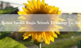 Hainan Yuedan Daojia Network Technology Co., Ltd