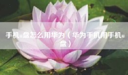 手机u盘怎么用华为（华为手机用手机u盘）