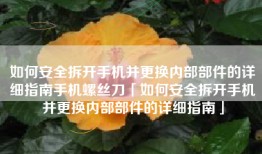 如何安全拆开手机并更换内部部件的详细指南手机螺丝刀「如何安全拆开手机并更换内部部件的详细指南」