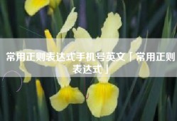 常用正则表达式手机号英文「常用正则表达式」