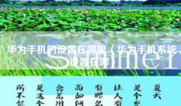 华为手机的设置在哪里（华为手机系统设置在哪）