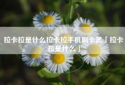 拉卡拉是什么拉卡拉手机刷卡器「拉卡拉是什么」