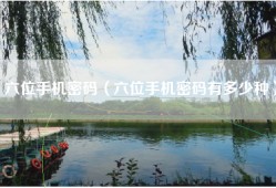 六位手机密码（六位手机密码有多少种）