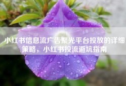 小红书信息流广告聚光平台投放的详细策略，小红书投流避坑指南