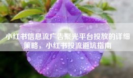 小红书信息流广告聚光平台投放的详细策略，小红书投流避坑指南